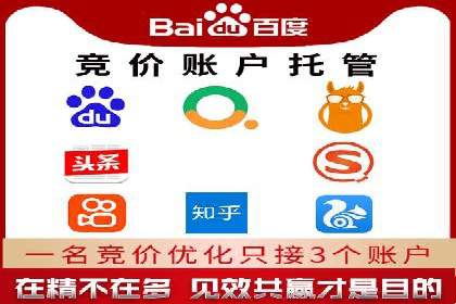 搜索引擎营销（SEM）的投放策略与效果评估——以某行业领先企业的案例分析